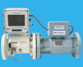 浙江蒼南儀表廠東星牌渦輪流量計,浙江蒼南儀表廠東星牌渦輪流量計生產(chǎn)廠家,浙江蒼南儀表廠東星牌渦輪流量計價格